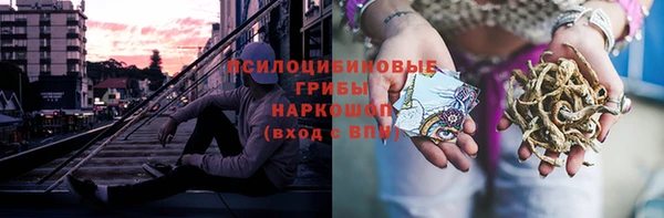 прущий лед Аркадак