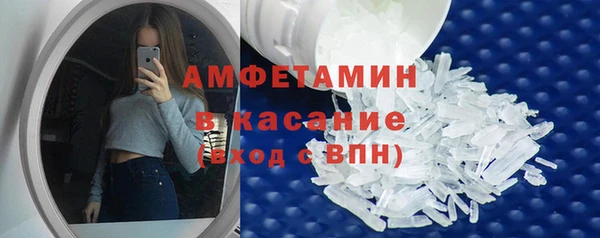 индика Баксан