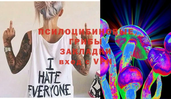прущий лед Аркадак