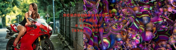 прущий лед Аркадак